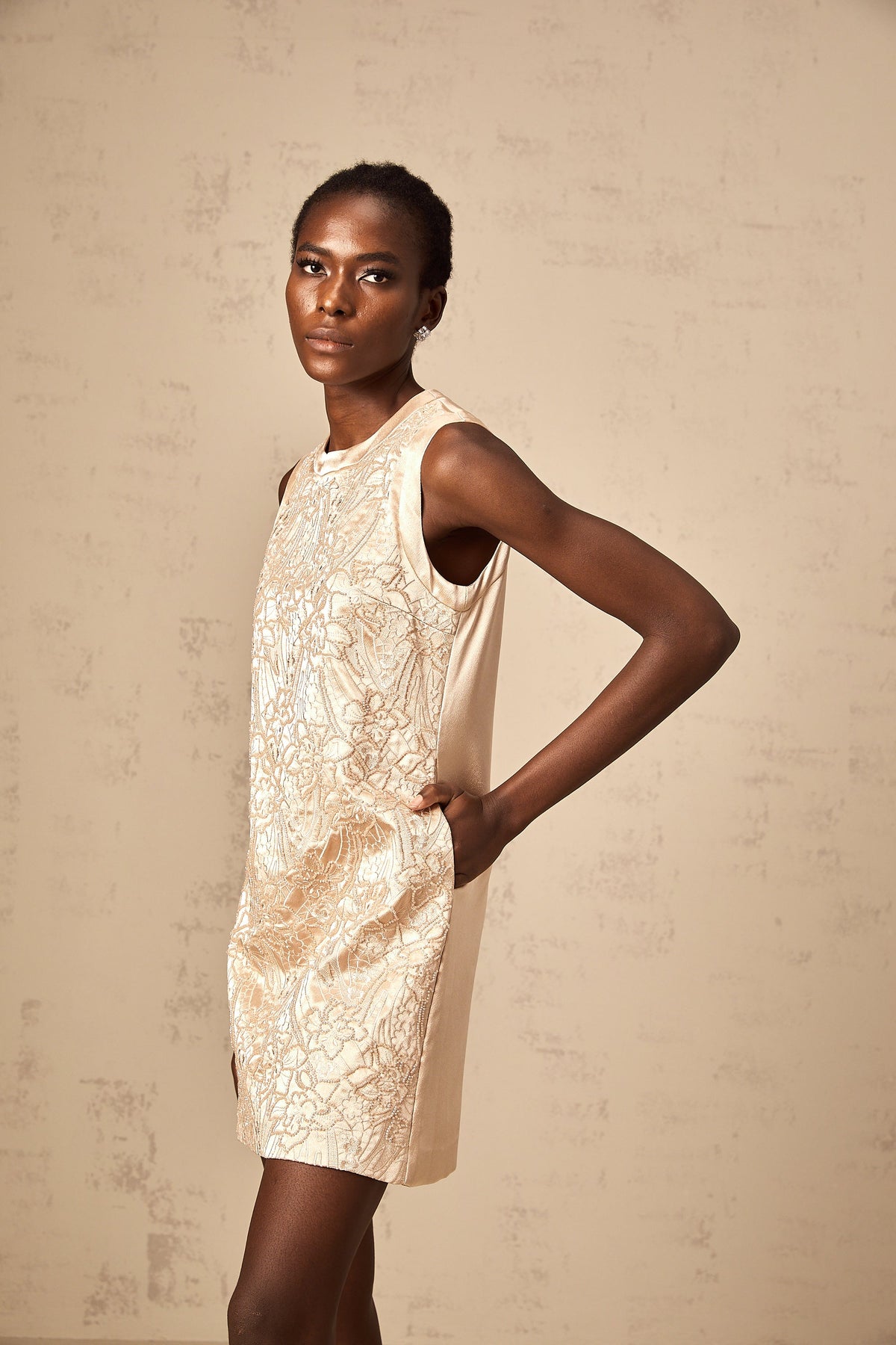 Isabelle embroidered bead-embellished mini dress