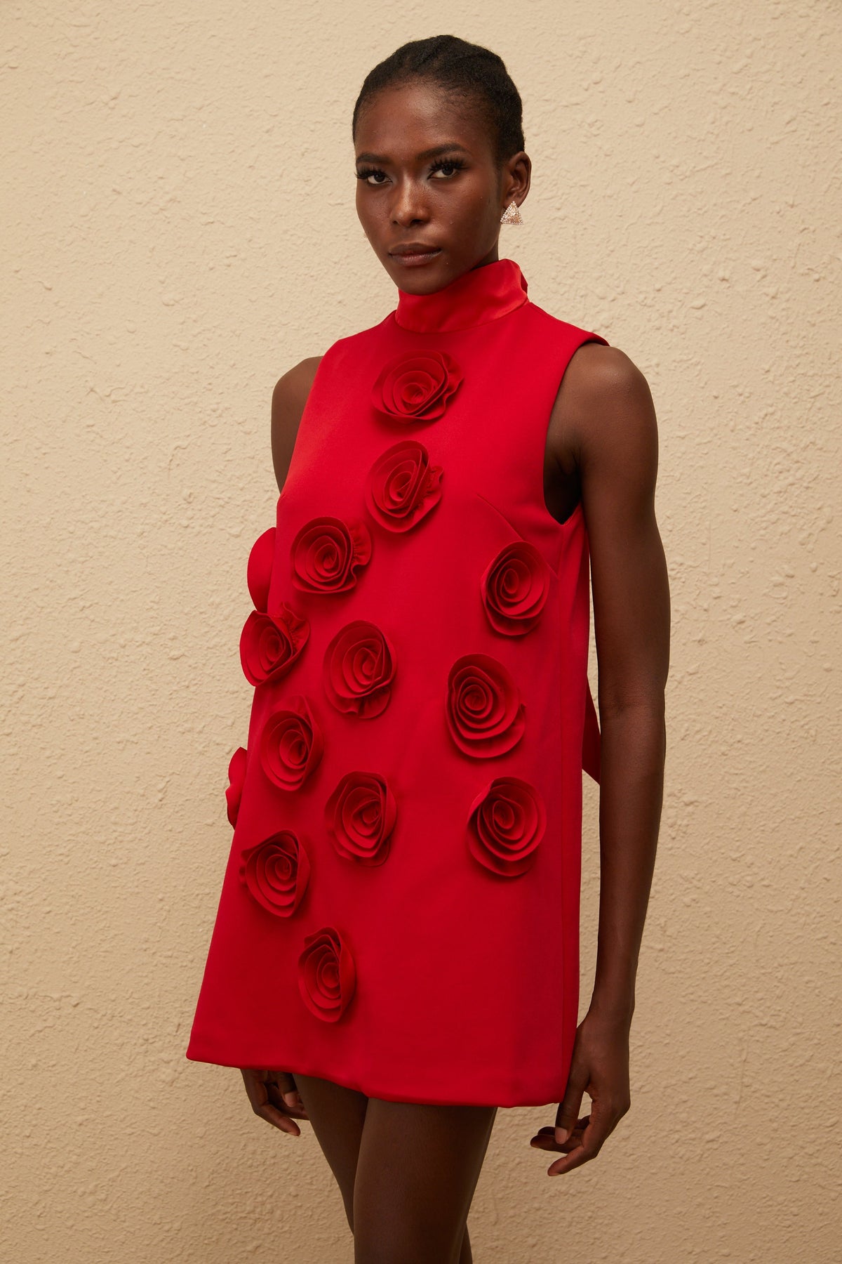 Ysandre Red Rose Appliqué Mini Dress