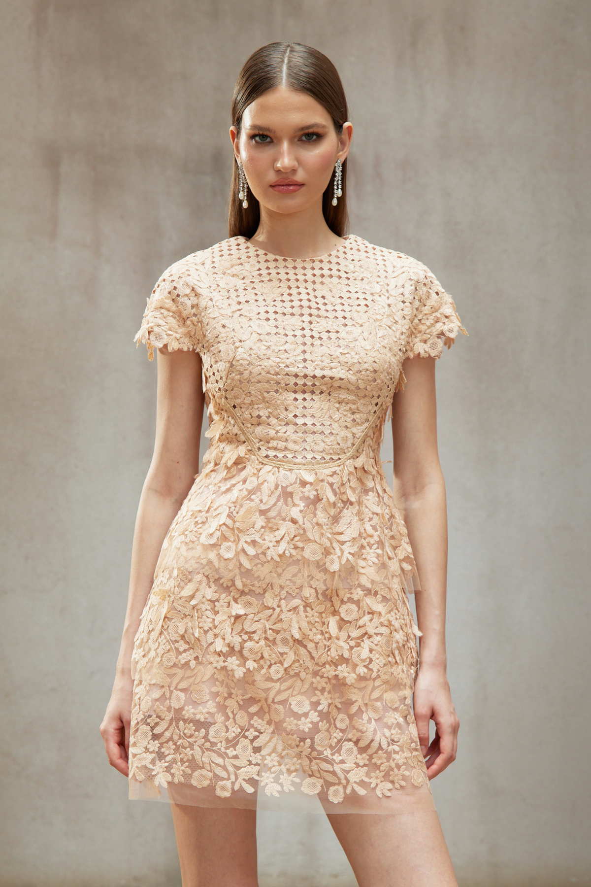 Déotille Neutral Floral Embroidered Tulle Mini Dress