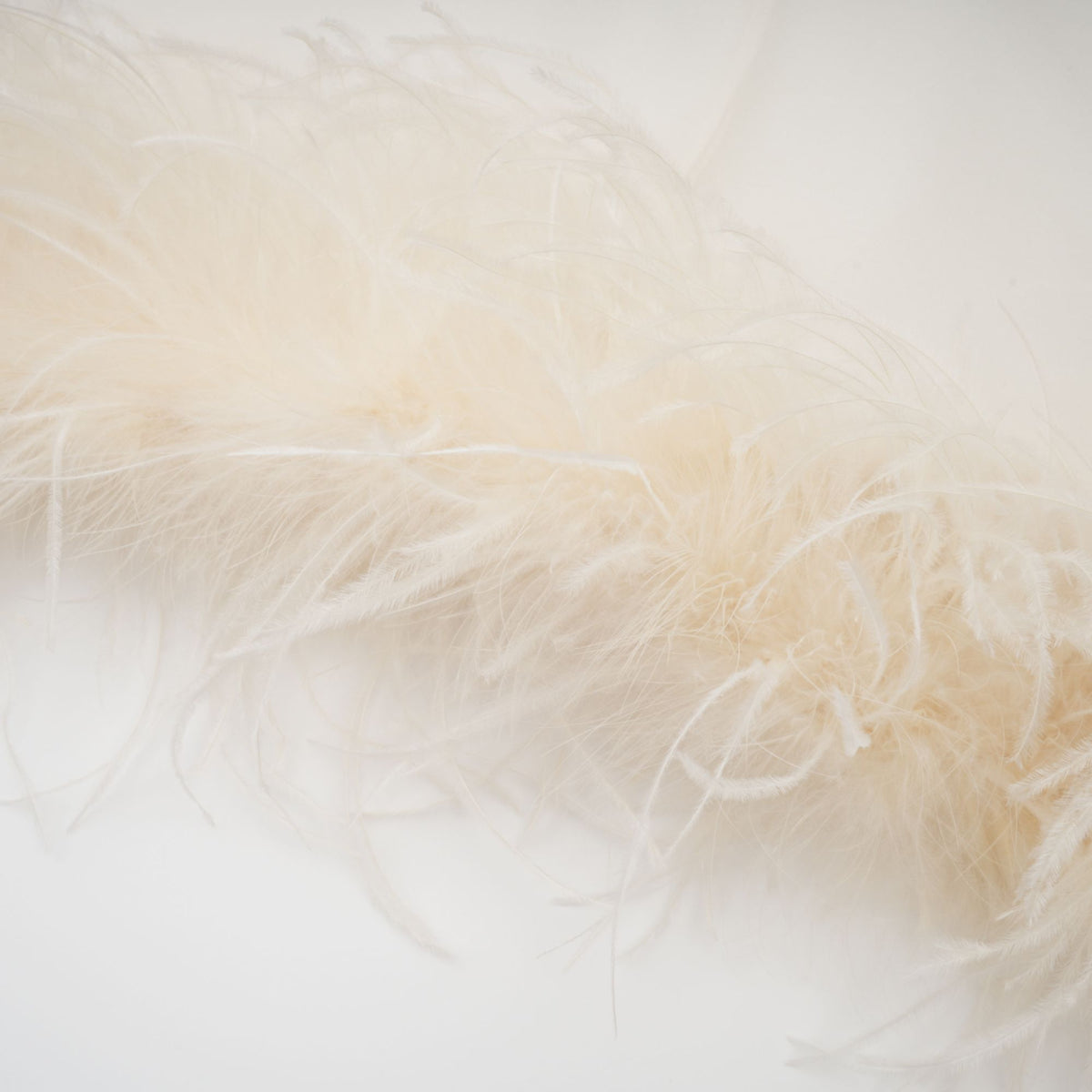 Adrienne White Feather Trim Mini Dress (Final Sale-US Only)