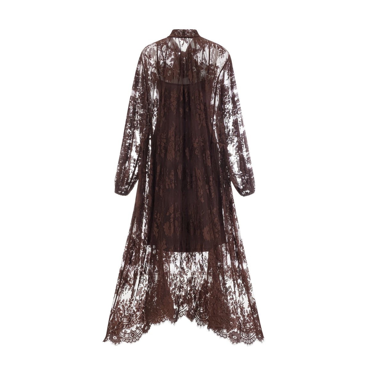 Sylvie brown chantilly-lace flared midi dress