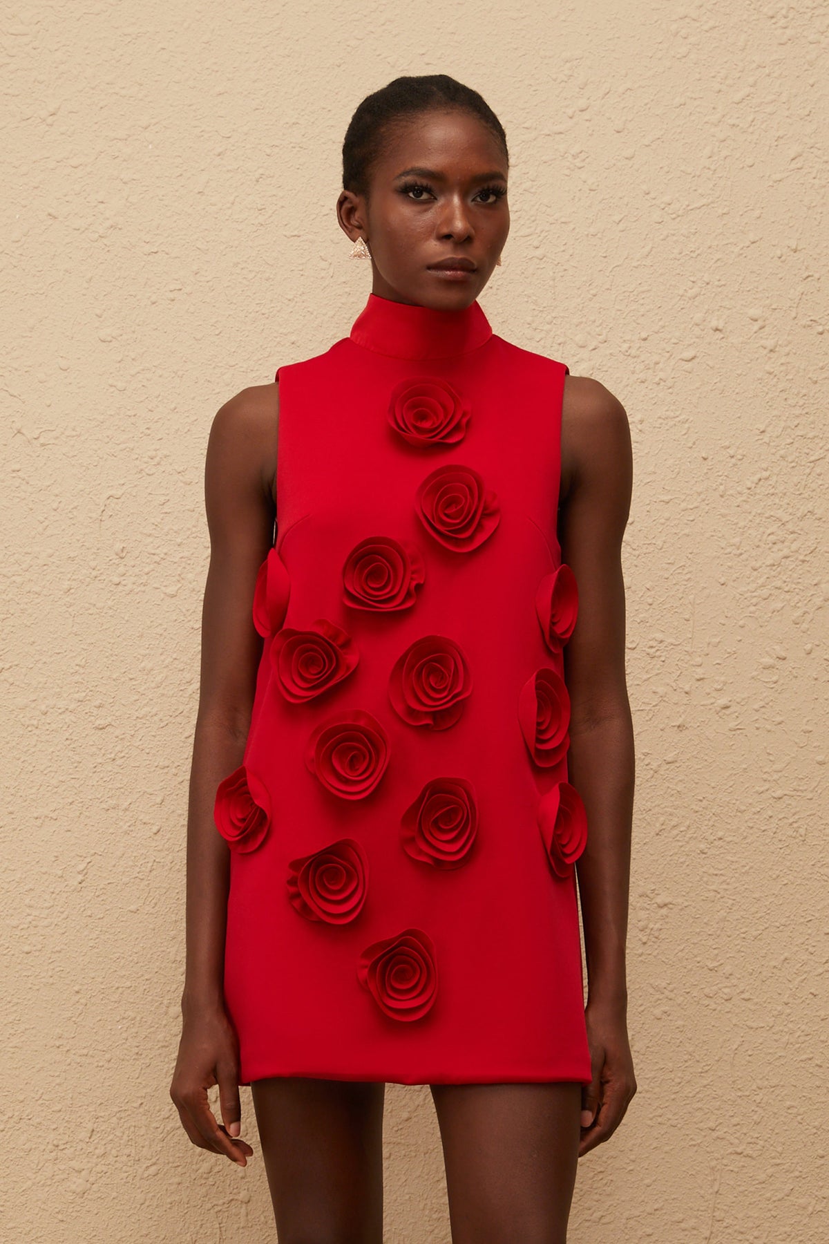 Ysandre Red Rose Appliqué Mini Dress