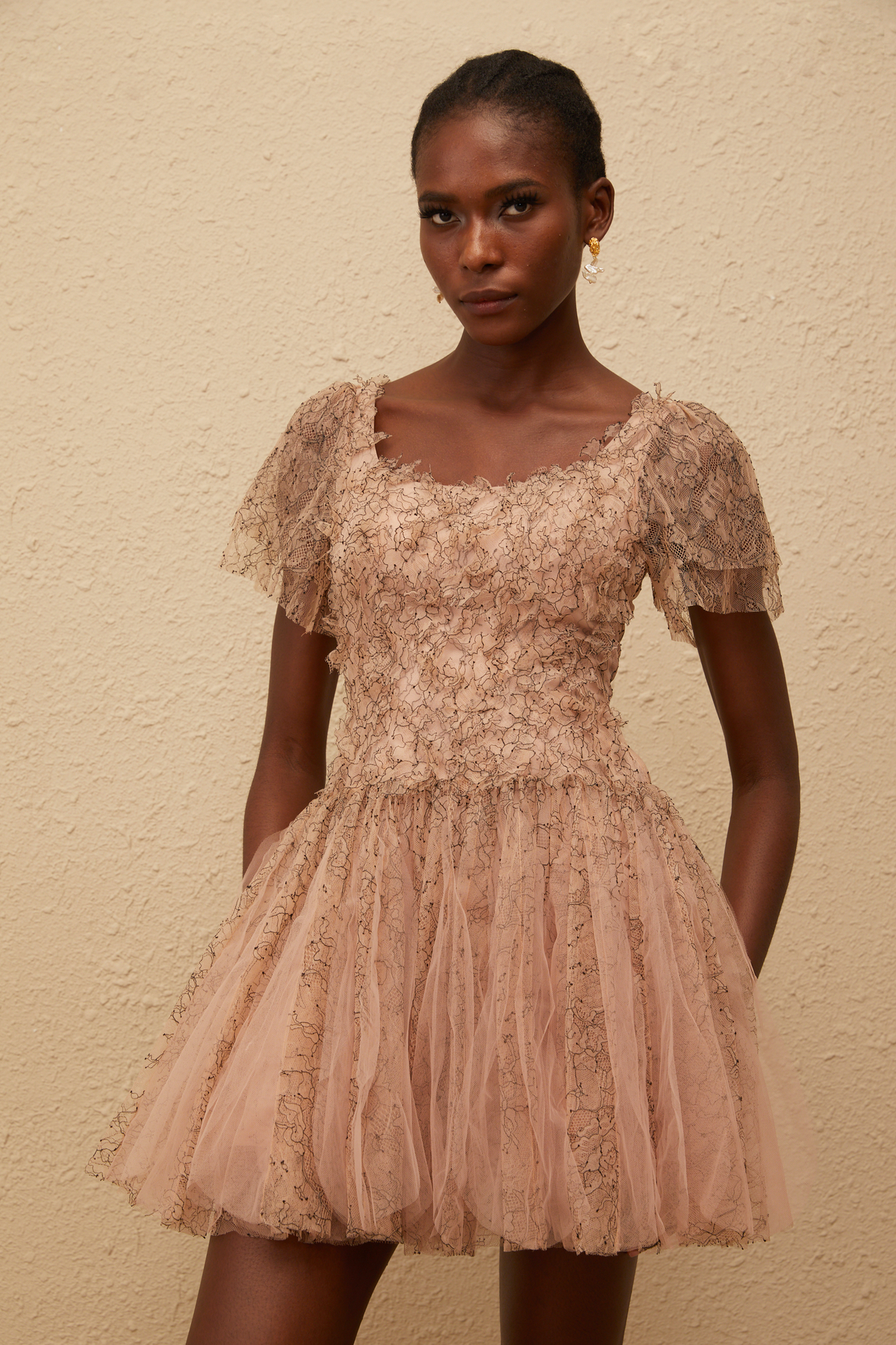 Gaëtane Brown Tulle Panel Lace Mini Dress (Final Sale)