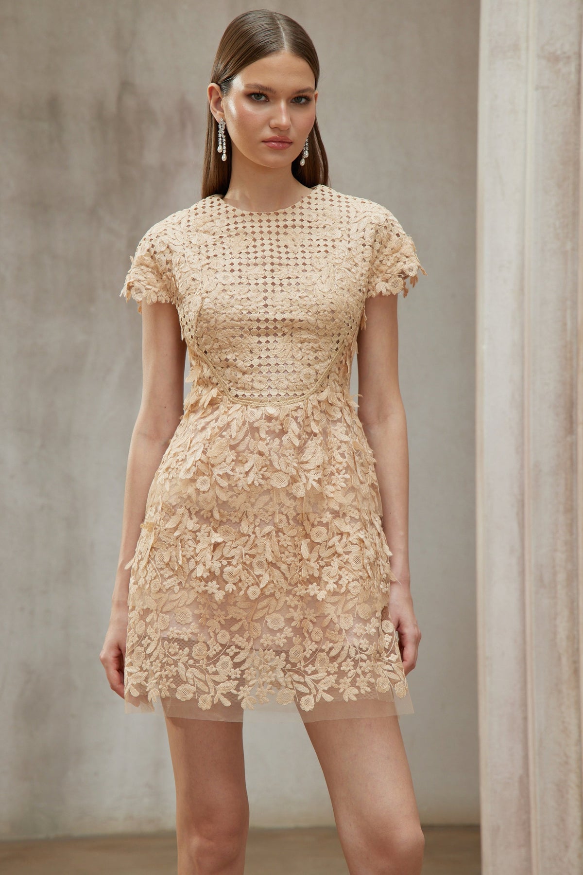 Déotille Neutral Floral Embroidered Tulle Mini Dress